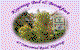 Kojonup Bed And Breakfast - thumb 0