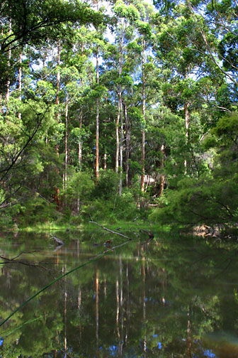 Peppermint Grove Retreat - Tourism Canberra 0
