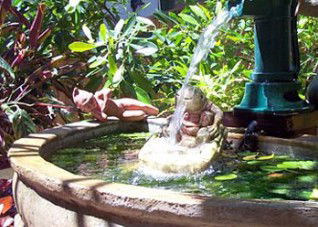 Bondi Beach Garden Sweet - Tourism Canberra 3