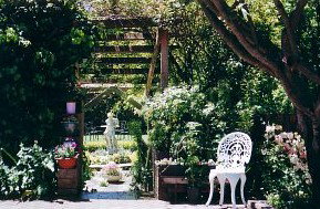 Bowral Cottage Inn - Tourism Canberra 2