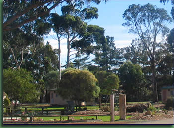 Kalgan River Chalets And Caravan Park - Tourism Canberra 0
