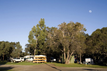 Molloy Caravan Park - Tourism Canberra 1