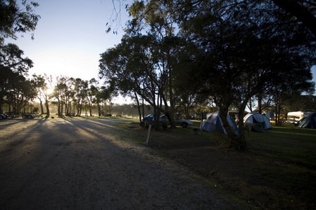 Molloy Caravan Park - Tourism Canberra 3