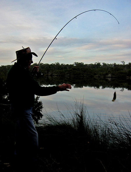 Molloy Caravan Park - Tourism Canberra 5