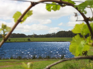 Bettenays Lakeside Loft Apartment And Vineyard Chalets - Tourism Canberra 0