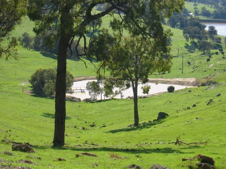 Vista Ridge Estate - Top Paddock Cottage - Tourism Canberra 3