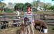Kemminup Farm - thumb 0