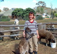 Kemminup Farm - Tourism Canberra