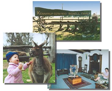 Kemminup Farm - Tourism Canberra 1
