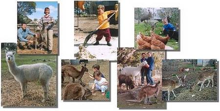 Kemminup Farm - Tourism Canberra 2