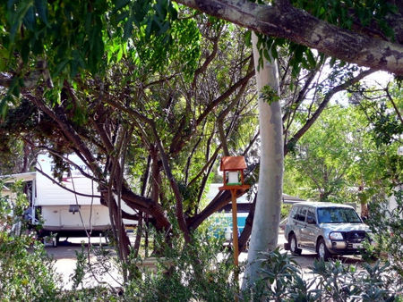 Kojonup Caravan Park - Tourism Canberra 1