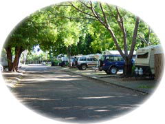 Town Caravan Park - Tourism Canberra 5
