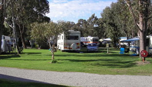 Pinjarra Caravan Park - Tourism Canberra 0