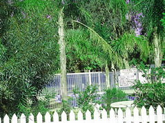 Pinjarra Caravan Park - Tourism Canberra 3