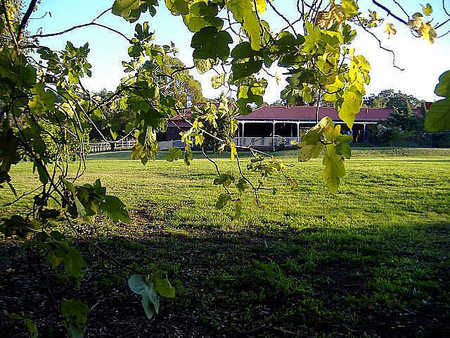 Poplar Cottage Bed And Breakfast - Tourism Canberra 1