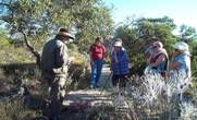 Western Flora Caravan Park - Tourism Canberra 0