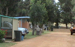Horrocks Beach Caravan Park - Tourism Canberra 4