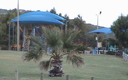 Horrocks Beach Caravan Park - Tourism Canberra 5