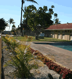 Best Western Hospitality Inn Carnarvon - Tourism Canberra 7