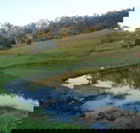 Barkeldine Farm Country Retreat - Tourism Canberra