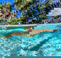 BIG4 Ballina Headlands Holiday Park - Tourism Canberra