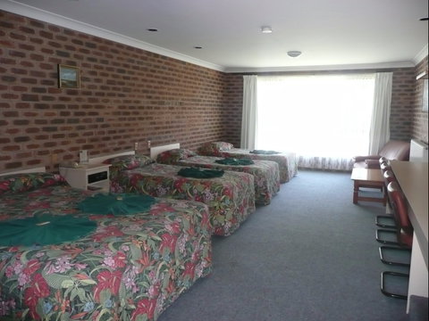 Big Trout Motor Inn - Tourism Canberra 2