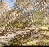Coree campground - Tourism Canberra