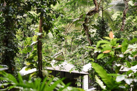 Daintree Ecolodge - Tourism Canberra 0