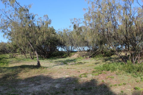 K'gari (Fraser Island) Camping, Great Sandy National Park - Tourism Canberra 1