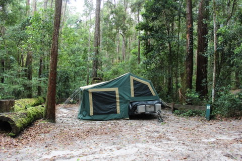 K'gari (Fraser Island) Camping, Great Sandy National Park - Tourism Canberra 2