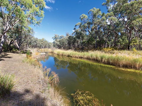 Kings Plains Creek Campground - Tourism Canberra 1