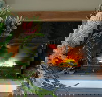 Koala Gully - Tourism Canberra