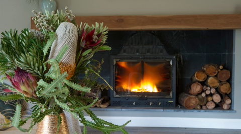 Koala Gully - Tourism Canberra 0