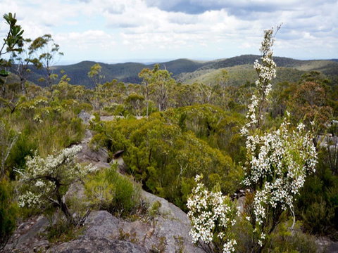 Murphys Glen Campground - Tourism Canberra 1