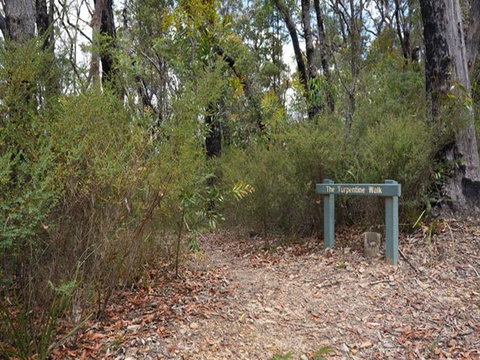 Murphys Glen Campground - Tourism Canberra 2
