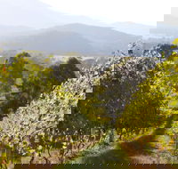 Rosetta's Garden Guesthouse - Tourism Canberra