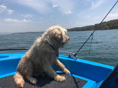Tommy's Lakehouse - Tourism Canberra 2