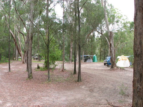 Wallingat River Campground - Tourism Canberra 1