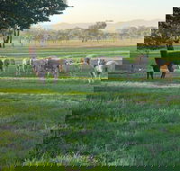 Wallinga Studio Farmstay - Tourism Canberra