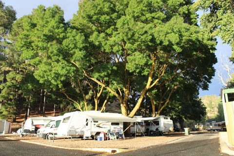 Williamstown Queen Victoria Jubilee Park - Tourism Canberra 0