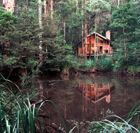 Woodlands Rainforest Retreat - Tourism Canberra
