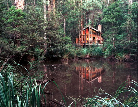 Woodlands Rainforest Retreat - Tourism Canberra 0