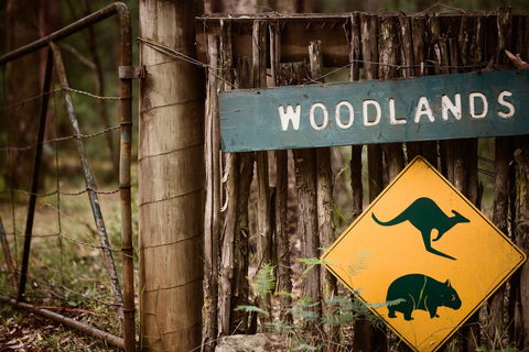 Woodlands Rainforest Retreat - Tourism Canberra 1
