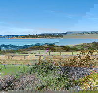 52 Seaview Avenue