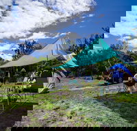 Banksia Green campground - Tourism Canberra