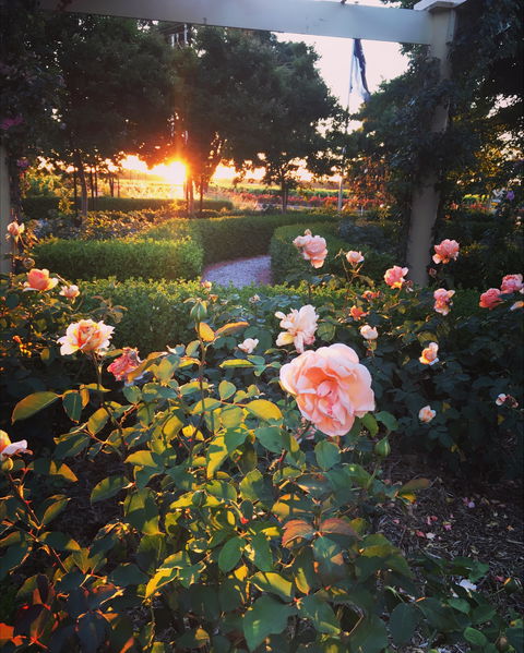 BAROSSA  HOUSE - Tourism Canberra 1