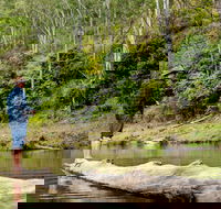 Bass Lodge - Tourism Canberra