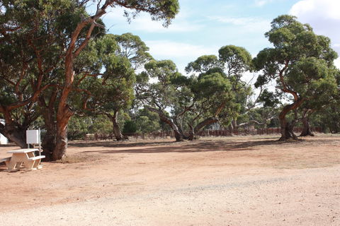 Cleve Showgrounds RV Park - Tourism Canberra 1