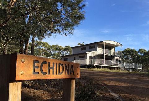 Echidna On Bruny - Tourism Canberra 0
