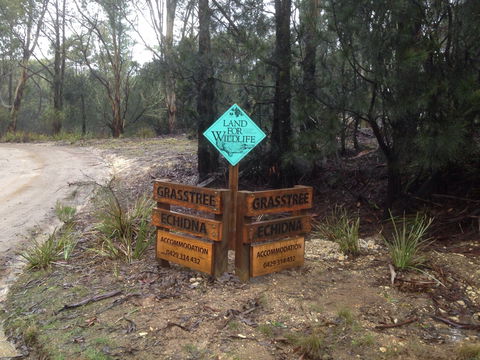 Echidna On Bruny - Tourism Canberra 1